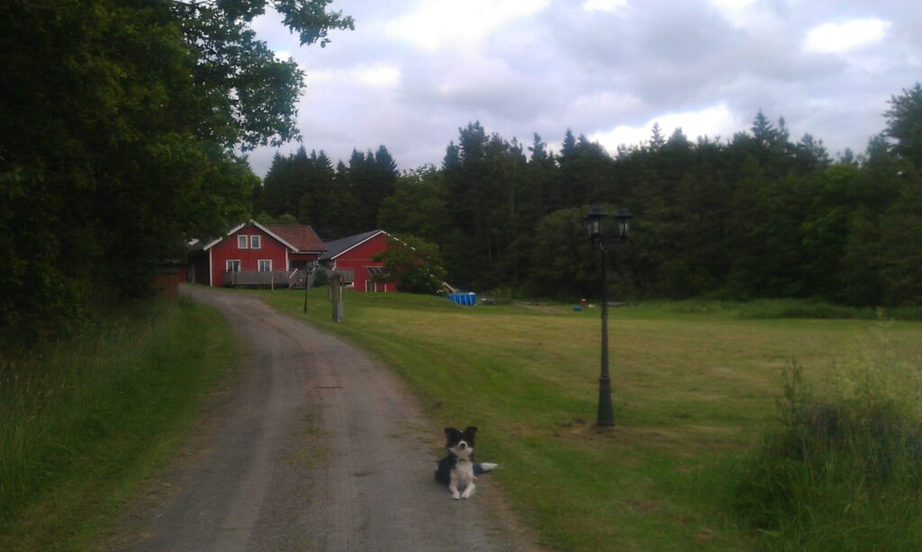 Nipegården